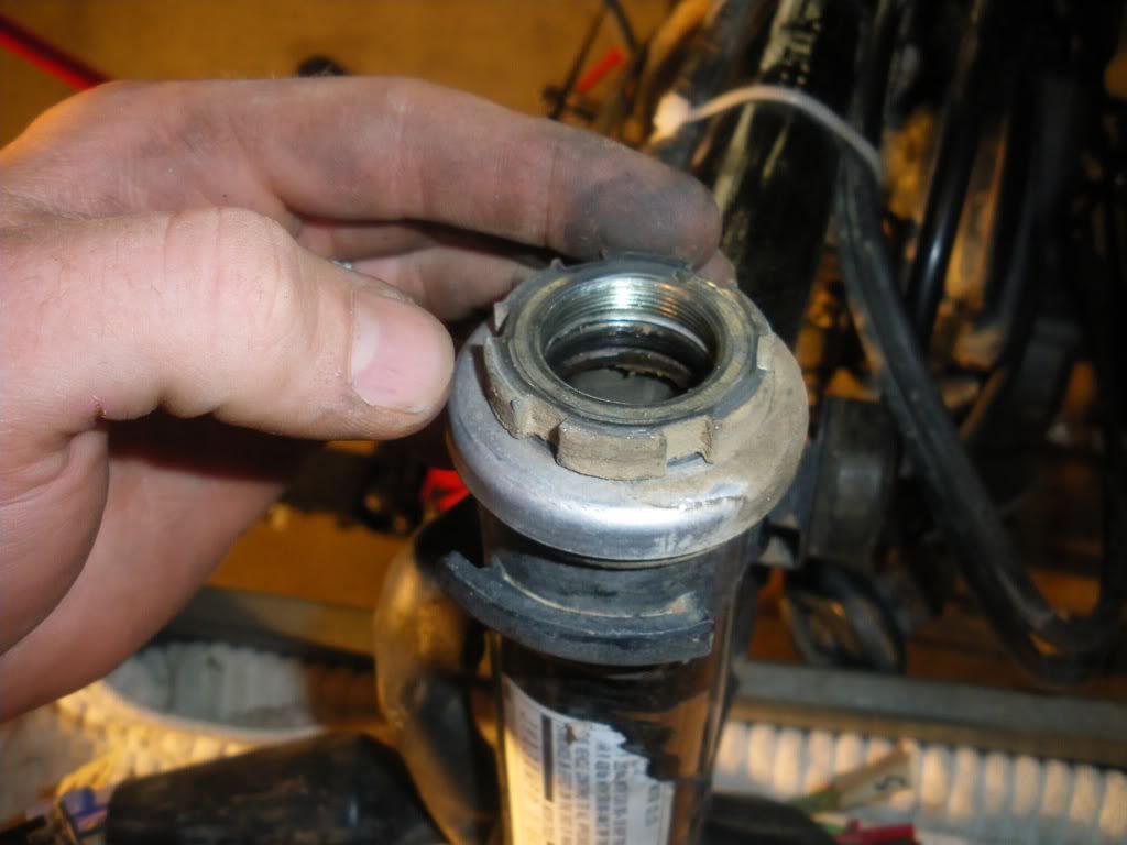 Steering Head Bearings